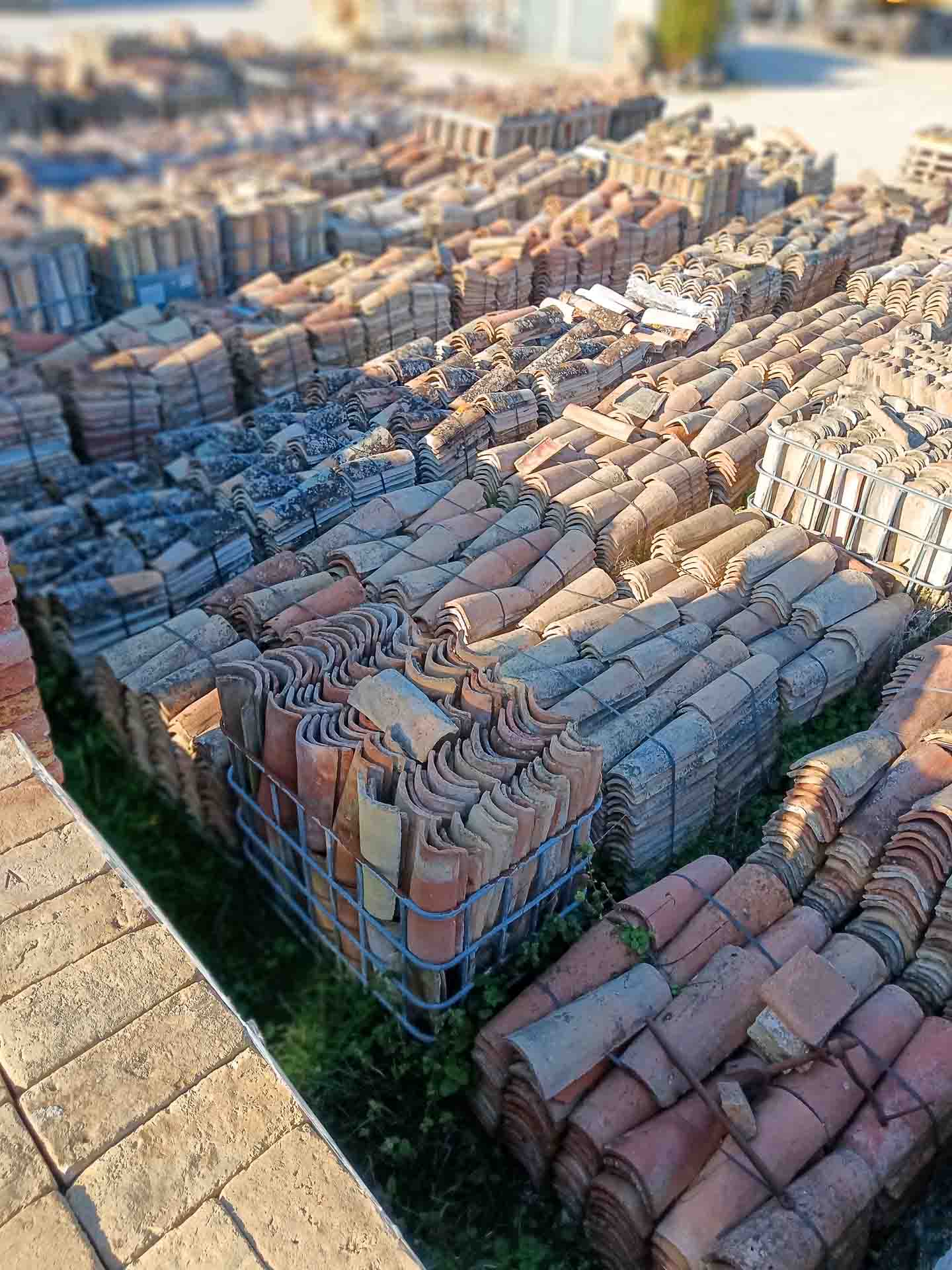 Cotto Antico - foto 14