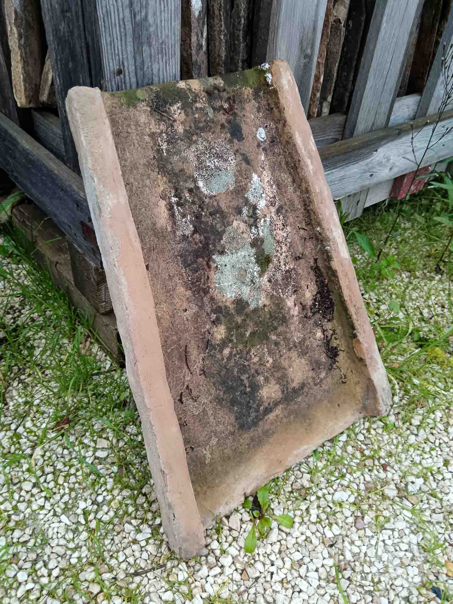 Cotto Antico - foto 29