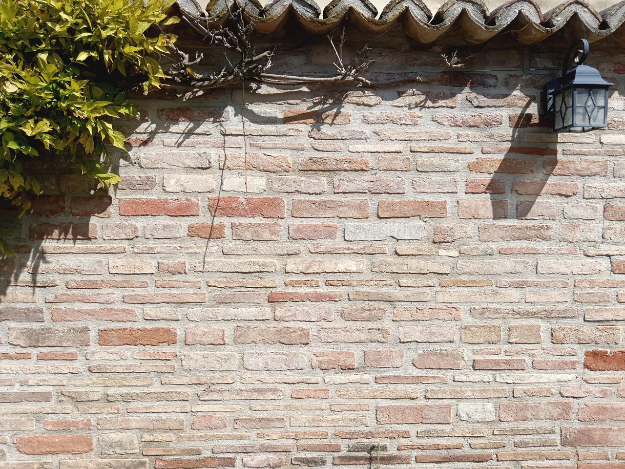 Mattoni di Seconda Scelta - foto 1